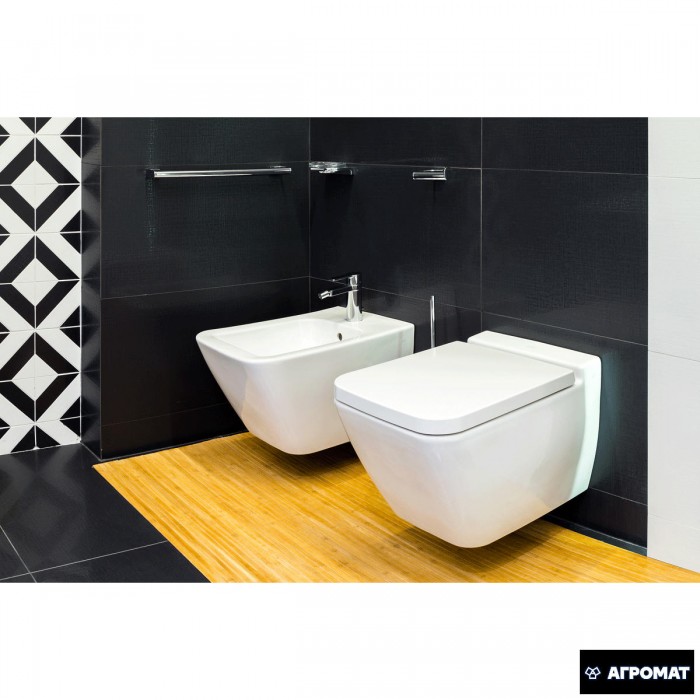 Биде подвесное Villeroy&Boch Finion 446500R1 Ceramic Plus