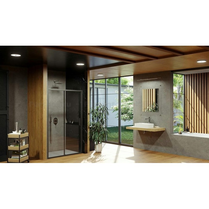 Душевая дверь Ravak Blix Slim BLSDP2-120 X0PMG0300Z1 профиль Черный матовый стекло Transparent