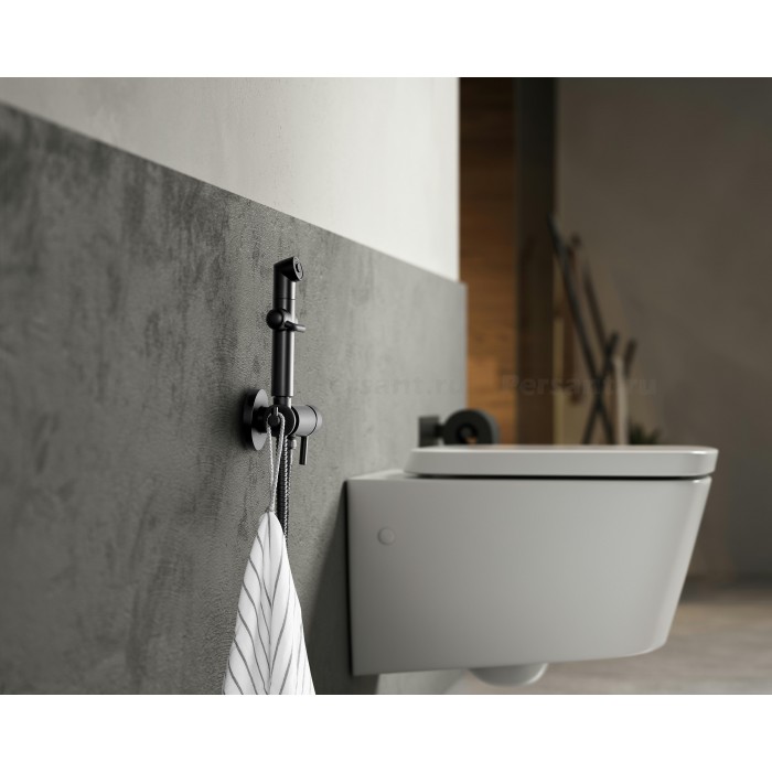 Гигиенический душ со смесителем Lemark Solo LM7166BL черный матовый