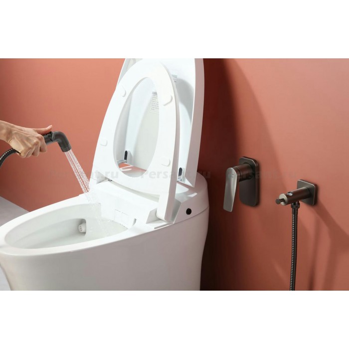 Гигиенический душ со смесителем Lemark Bronx LM3719GM графит