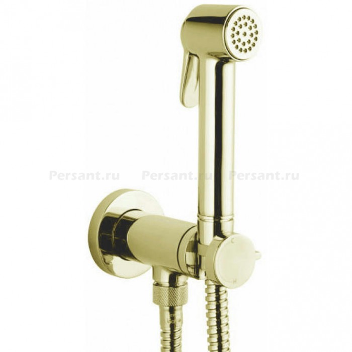 Гигиенический душ Bossini Paloma Brass Mixer Set E37005B.021 с прогрессивным смесителем, золото