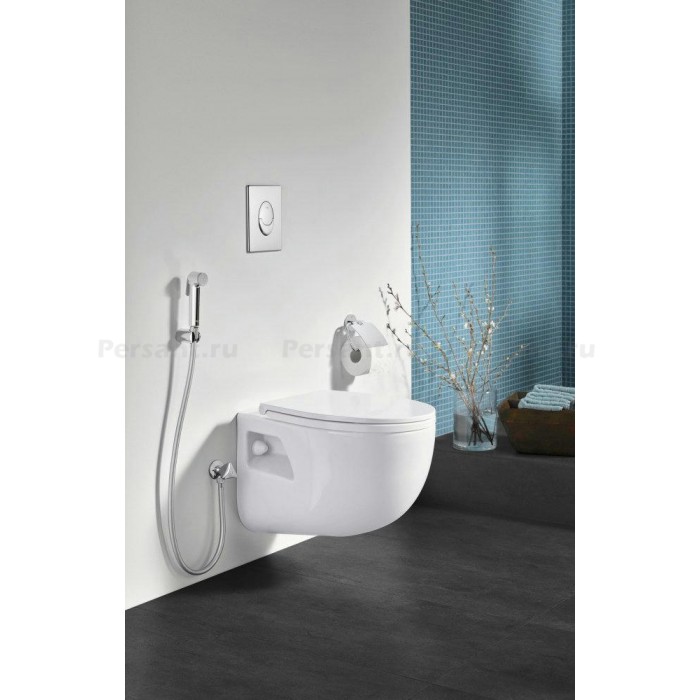 Гигиенический душ Grohe Tempesta-F 27512001