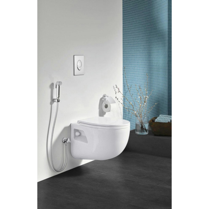 Гигиенический душ Grohe Tempesta-F 27512001