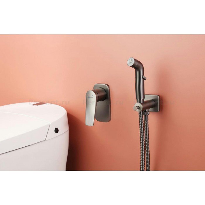 Гигиенический душ со смесителем Lemark Bronx LM3719GM графит