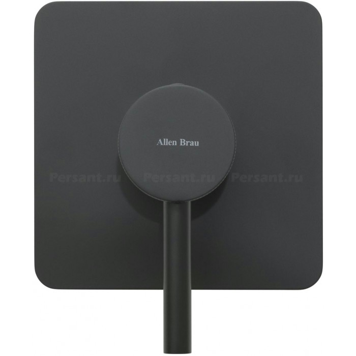 Смеситель для душа Allen Brau Priority X1 5.31012-31 встраиваемый, черный матовый