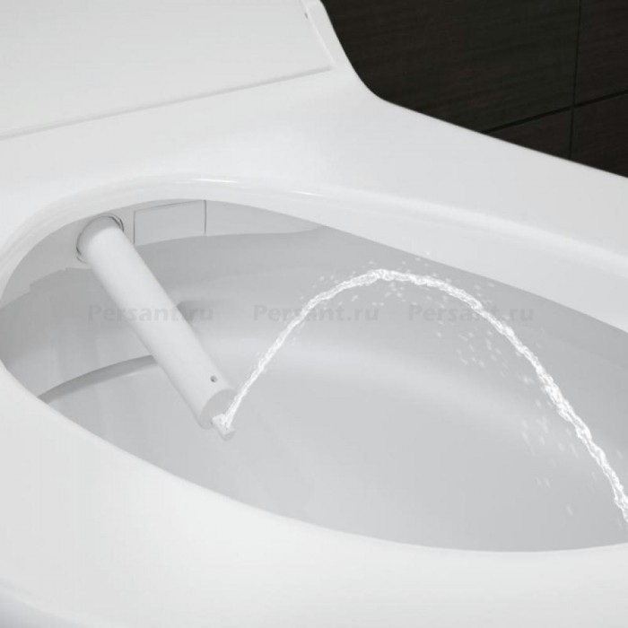 Подвесной унитаз-биде Geberit Tuma AquaClean 146.094.11.1