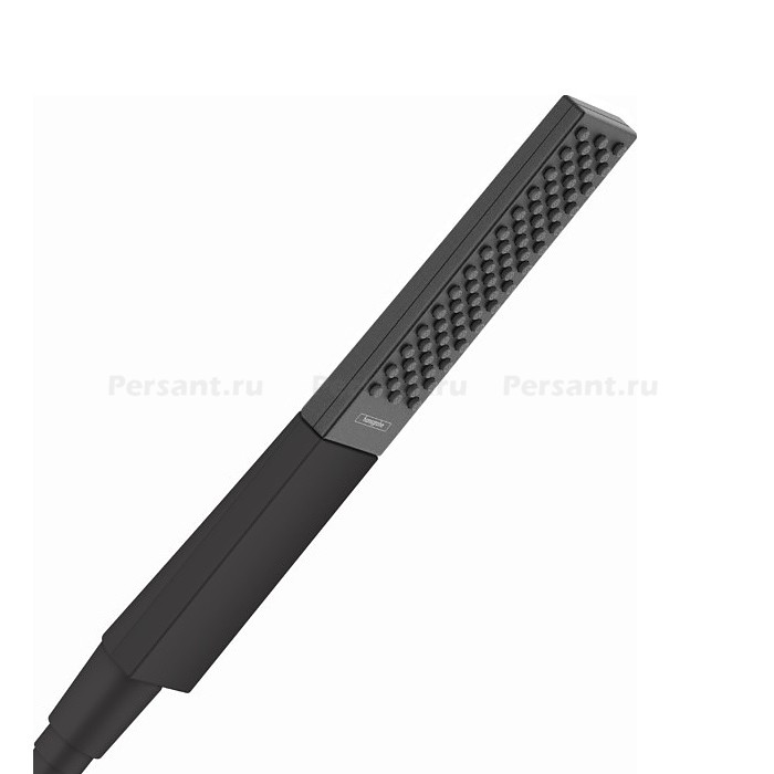 Душевая лейка Hansgrohe Rainfinity 100 1jet 26866670 черный матовый