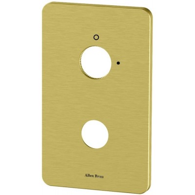 Накладка для смесителя Allen Brau Priority 5.3U1ХХ-GB 1 ход, золото браш