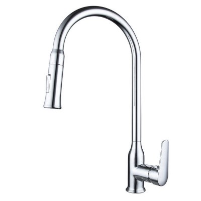 Смеситель для кухни Bravat Arden F7362395CP-ENG с выдвижным изливом, хром