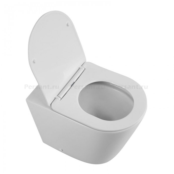 Приставной унитаз BelBagno Flay-R BB1003CBR/SC безободковый с сиденьем