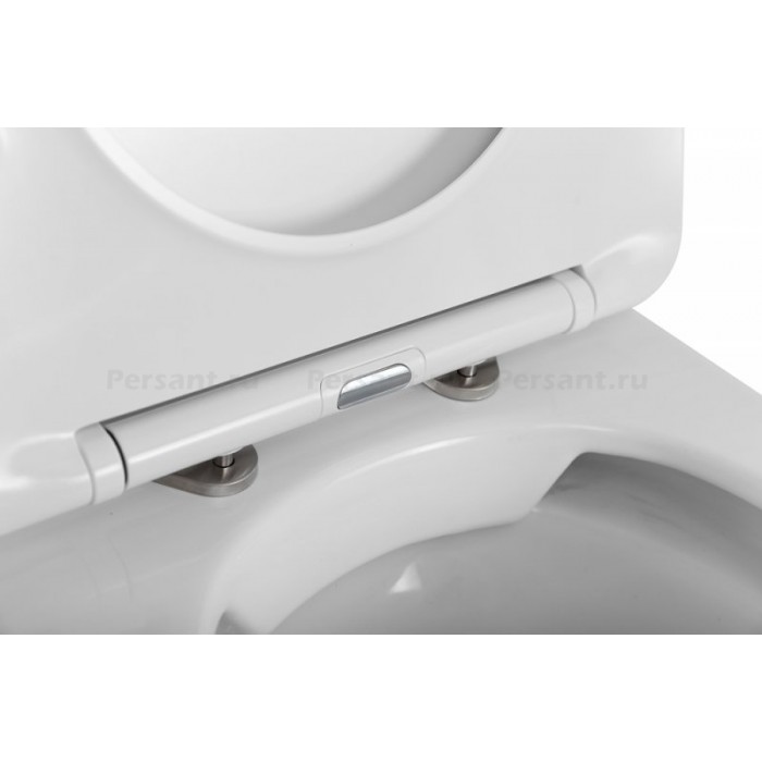 Приставной унитаз BelBagno Flay-R BB1003CBR/SC безободковый с сиденьем