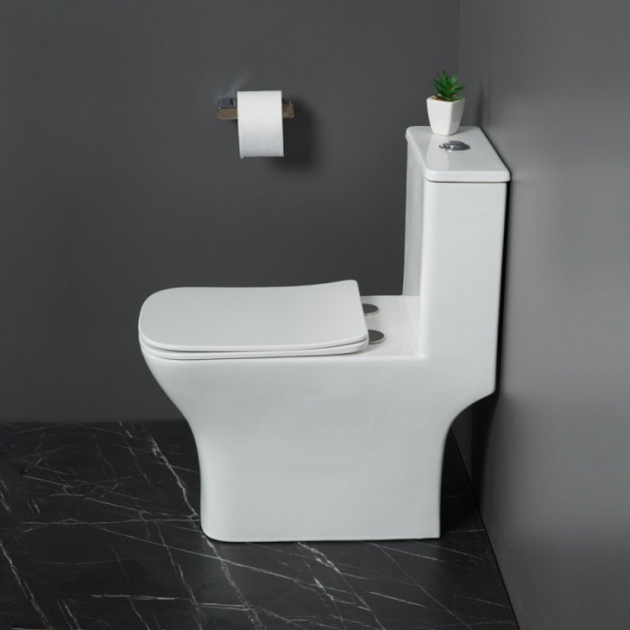 Унитаз-моноблок BelBagno Neon BB8617CPR-MN/SC безободковый