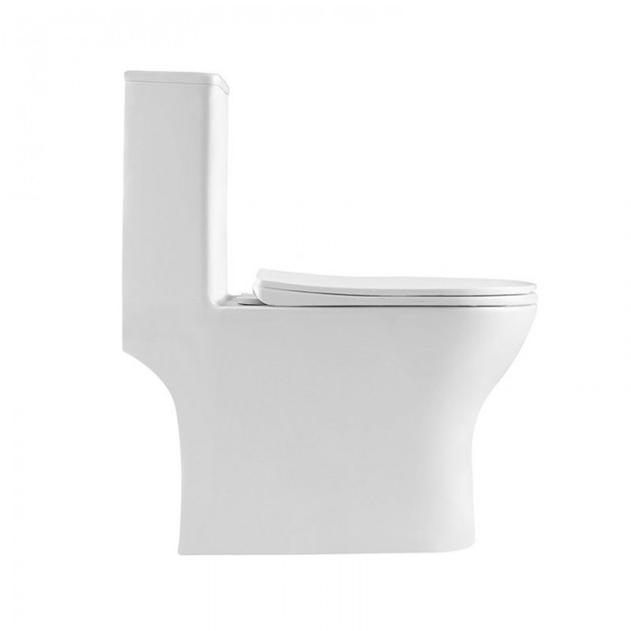 Унитаз-моноблок BelBagno Lounge BB8618CPR-MN/SC безободковый