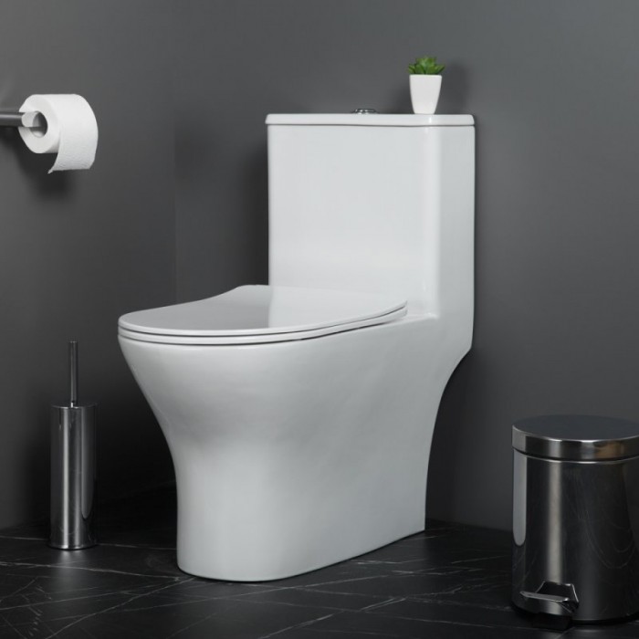 Унитаз-моноблок BelBagno Lounge BB8618CPR-MN/SC безободковый