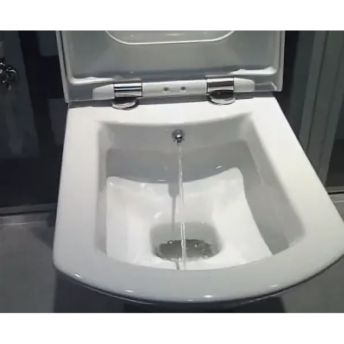 Напольный унитаз Vitra Serenada 9722B003-7205 с функцией биде и сиденьем микролифт
